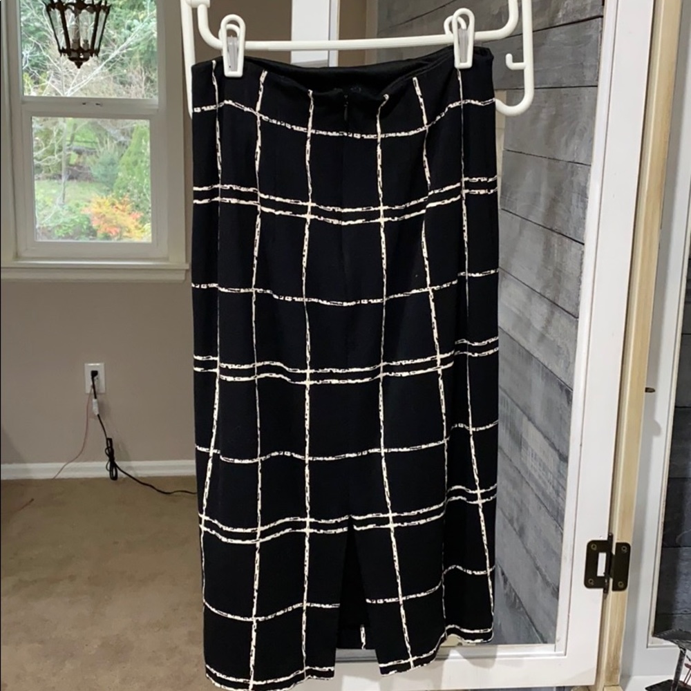 Skirt From Express